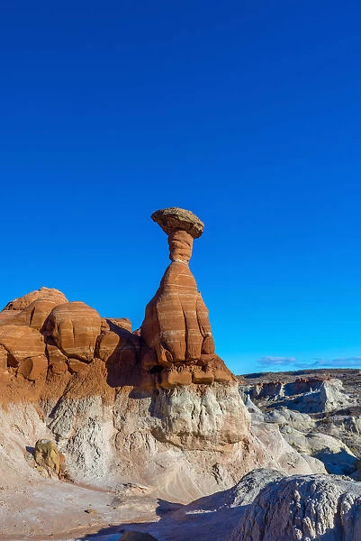 USA, Utah, Grand Staircase Escalante National Monument, The Toadstools