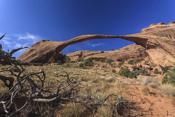 USA, Utah, Moab, Arches National Park, Landscape Arch