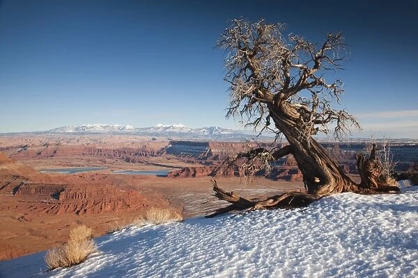 USA, Utah, Moab, Dead Horse Point State Park, view of the Meander Canyon, winter