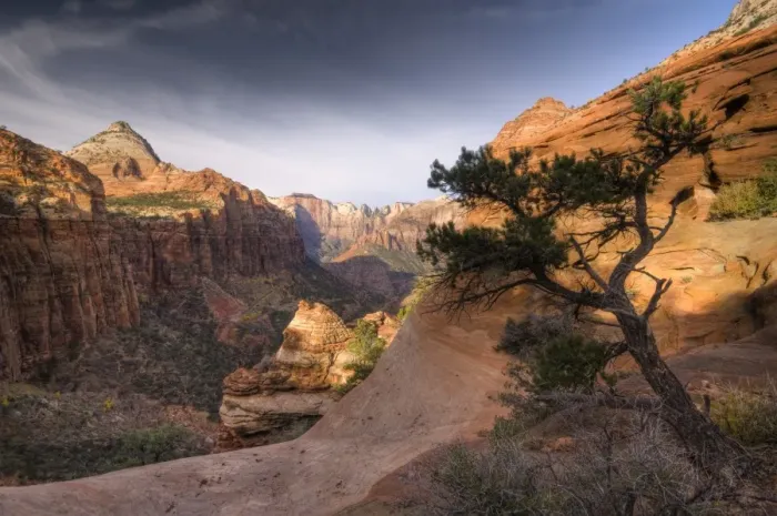 Framed Print : USA, Utah, Zion National Park