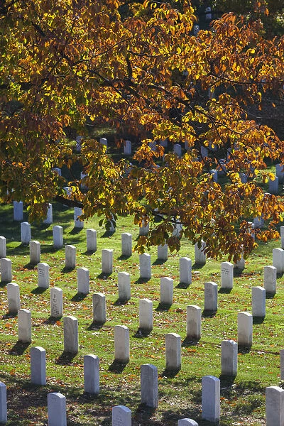 USA, Virginia, Arlington, Arlington National Cemetery, military gravestones, autumn