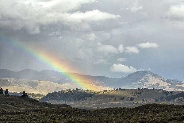 USA, Wyoming, Yellowstone National Park, UNESCO, World Heritage, rainbow during
