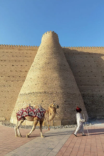 Uzbekistan, Bukhara, UNESCO world heritage site, Ark Fortress, a man leads a camel past the city walls