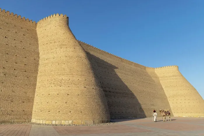 Framed Print : Uzbekistan, Bukhara, UNESCO world heritage site, Ark Fortress, a man leads a camel past the city walls Framed Print : Uzbekistan, Bukhara, UNESCO world heritage site, Ark Fortress, a man leads a camel past the city walls