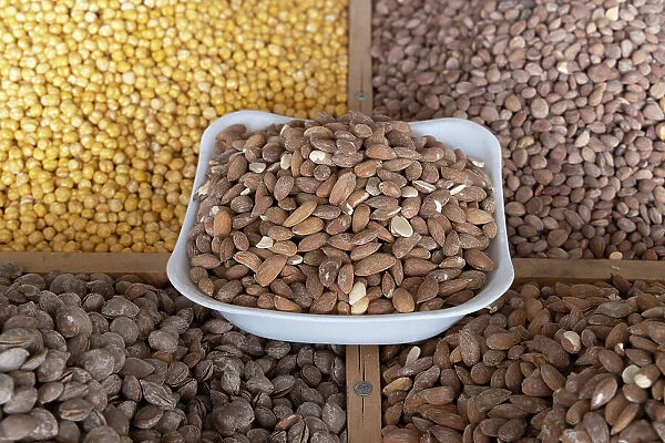 Uzbekistan, Tashkent, Chorsu bazaar, nuts for sale in the market
