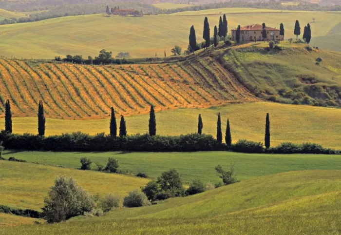 Framed Print : Val d Orcia Framed Print : Val d Orcia
