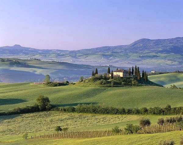Val d Orcia  /  Countryside View  /  Farmhouse & Green Grass & Hills