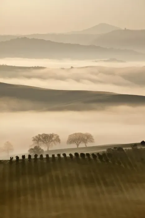 Framed Print : Val d Orcia at dawn, near San Quirico d Orcia Framed Print : Val d Orcia at dawn, near San Quirico d Orcia
