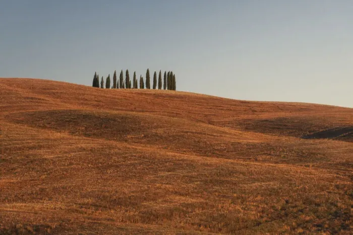 Framed Print : Val d Orcia Luglio Tuscany, Italy Framed Print : Val d Orcia Luglio Tuscany, Italy