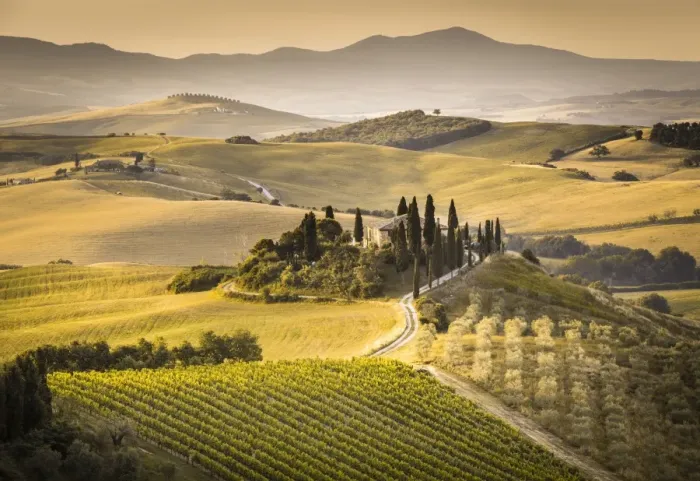 Framed Print : Val d Orcia, Tuscany, Italy Framed Print : Val d Orcia, Tuscany, Italy