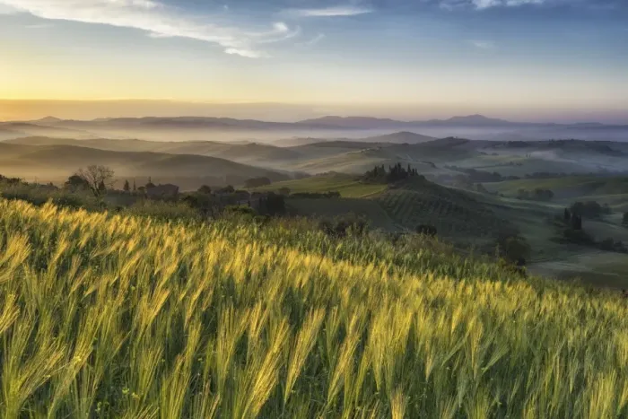 Framed Print : Val d orcia - Tuscany, Italy Framed Print : Val d orcia - Tuscany, Italy