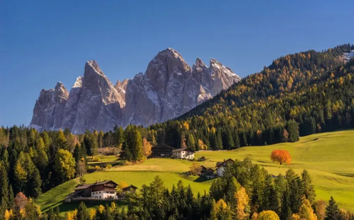 Framed Print : Val di Funes, Trentino Alto Adige, Italy. A cherry tree stands in the pastures of Funes Framed Print : Val di Funes, Trentino Alto Adige, Italy. A cherry tree stands in the pastures of Funes