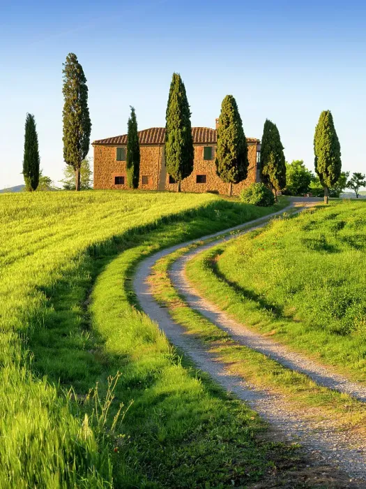 Framed Print : Val D'Orcia, Farmhouse with Zypress Tuscany, Italy Framed Print : Val D'Orcia, Farmhouse with Zypress Tuscany, Italy
