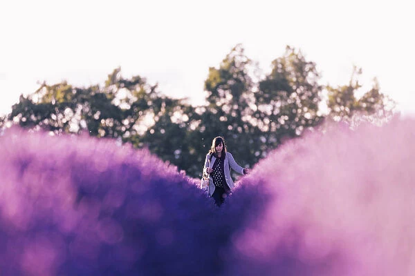 Valensole Plateau, Provence, France. Girl walking through a Lavender field