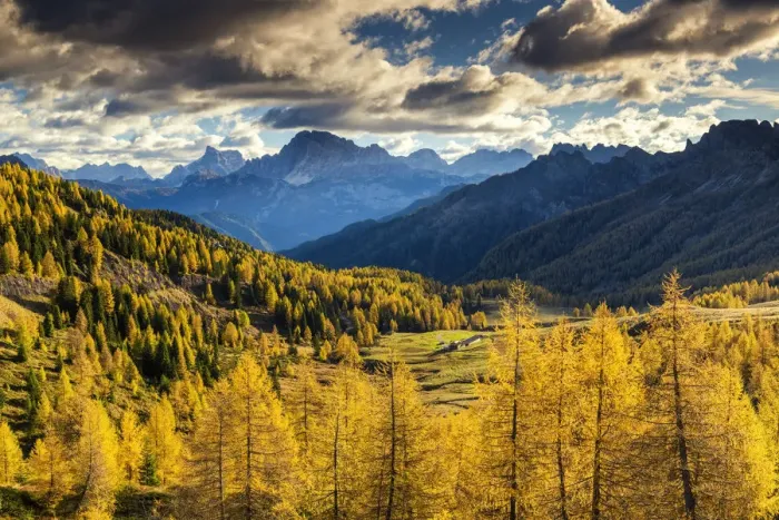 Framed Print : Valley of Autumn Larches, Marmolada, Dolomites, Italy Framed Print : Valley of Autumn Larches, Marmolada, Dolomites, Italy