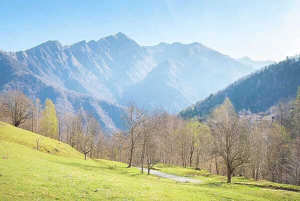 Valley of Guaria, Valle Soana, Gran Paradiso National Park, Piedmont, Italian alps, province of Turin, Italy