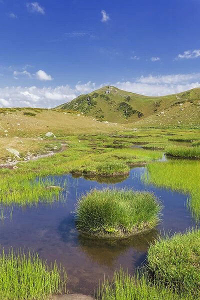Valley of seven lakes, Caucasus mountains, Abkhazia, Georgia