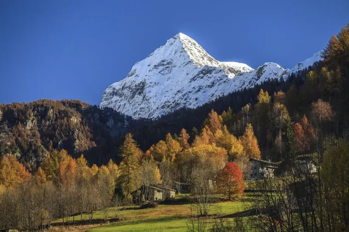Framed Print : Valtellina, Scalino peak in autumn, Malenco valley, Lombardy, Italy Framed Print : Valtellina, Scalino peak in autumn, Malenco valley, Lombardy, Italy
