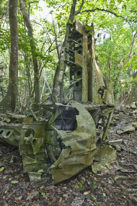 Framed Print : Vanuatu, Espiritu Santo Island Luganville, WW2 B-17 Bomber Wreck by Million Dollar Point Framed Print : Vanuatu, Espiritu Santo Island Luganville, WW2 B-17 Bomber Wreck by Million Dollar Point