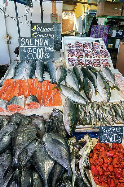 Various fresh fish for sale at seafood market, Caleta Portales, Valparaiso, Valparaiso Province, Valparaiso Region, Chile