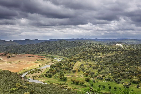 The vast plains of holm oaks in the region of Noudar. Alentejo, Portugal