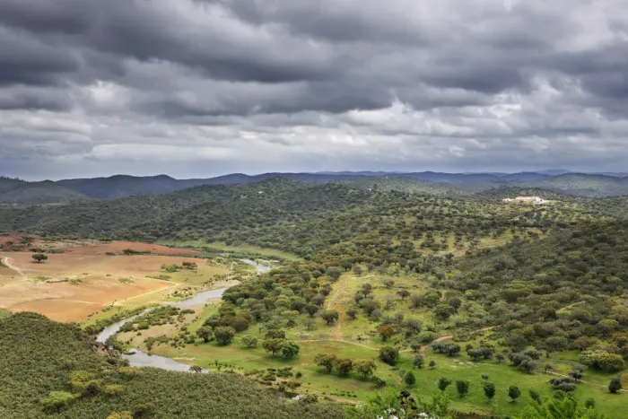 Framed Print : The vast plains of holm oaks in the region of Noudar. Alentejo, Portugal