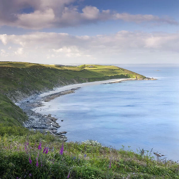 Vault Beach and Maenease Point from Penveor Point, The Dodman, Cornwall, England. Spring