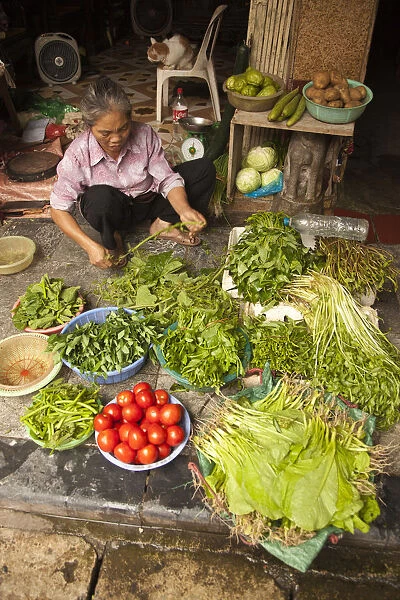 Vegetable seller in the Old Quarter, Hanoi, Vietnam