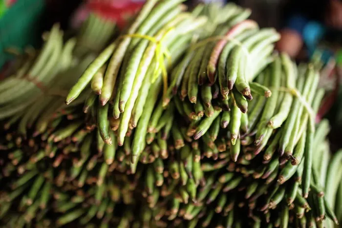 Framed Print : Vegetables for sale at Oxcutzcab market, Yucatan, Mexico