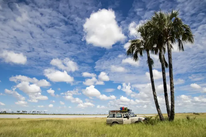 Framed Print : A vehicle parked under Palm Trees near the Makgadikgadi Salt Pans Framed Print : A vehicle parked under Palm Trees near the Makgadikgadi Salt Pans