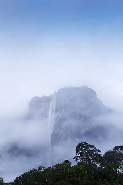 Venezuela, Guayana, Canaima National Park, Early morning Mist swirls round Angel Falls