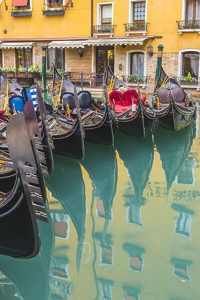 Venice, Veneto, Italy. Colorful moored gondolas reflecting in the water