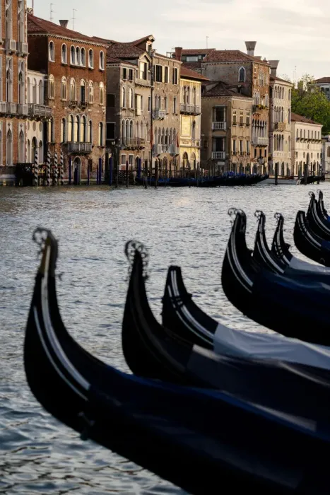 Framed Print : Venice, Veneto, Italy. Gondolas bows and Grand Canal at sunset
