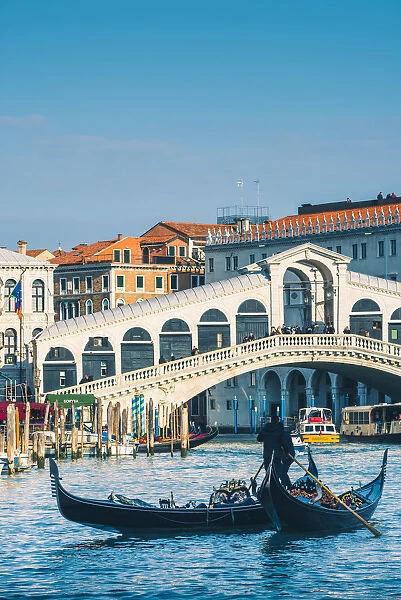 Venice, Veneto, Italy. Gondolas on the Grand Canal