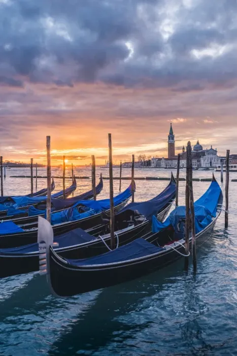Framed Print : Venice, Veneto, Italy. Gondolas moored on Riva degli Schiavoni at sunrise Framed Print : Venice, Veneto, Italy. Gondolas moored on Riva degli Schiavoni at sunrise