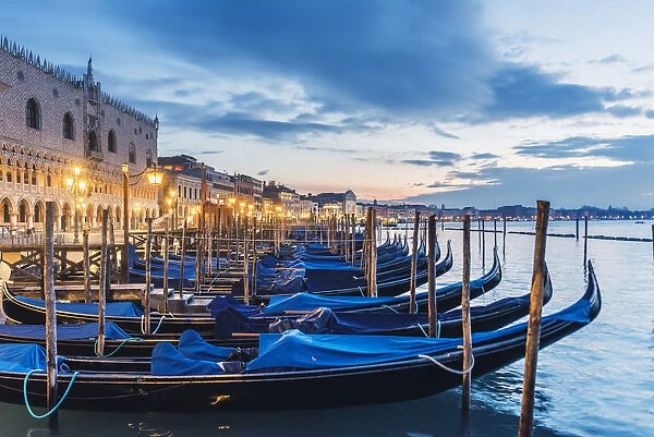Venice, Veneto, Italy. Gondolas moored on the waterfront of St Marks basin at dusk