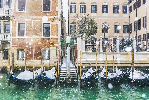 Venice, Veneto, Italy. Snowfall over moored gondolas along the Grand Canal (Canal Grande)