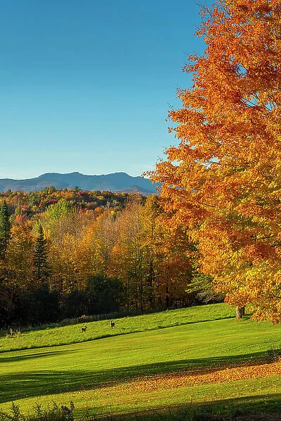 Vermont, USA
