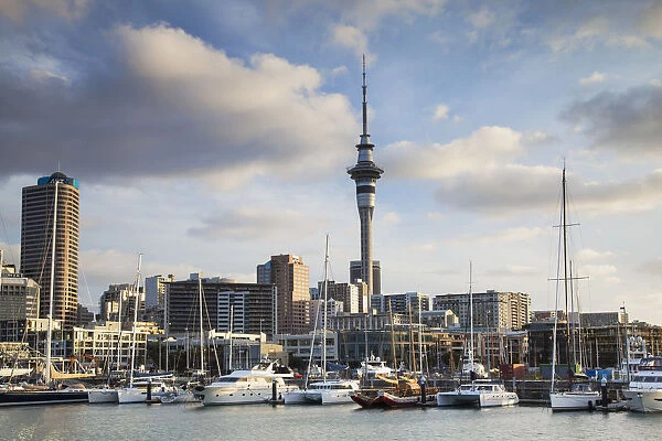 Viaduct Harbour and Sky Tower, Auckland, North Island, New Zealand