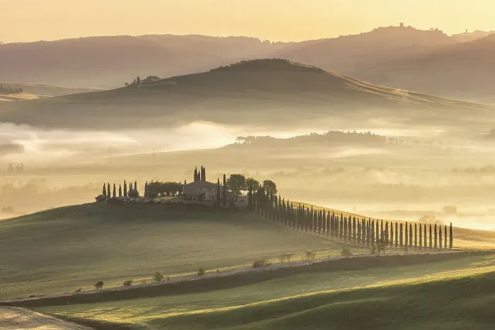 Framed Print : Viale di cipressi near Bagno Vignoni, Val D'Orcia, Tuscany, Italy