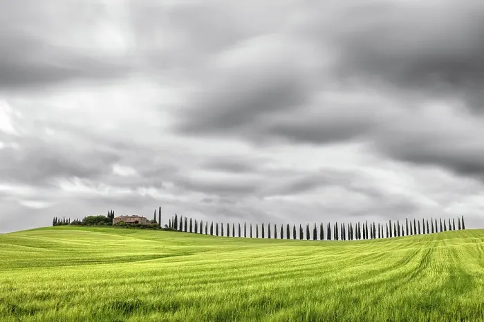 Framed Print : Viale di cipressi near Bagno Vignoni, Val D'Orcia, Tuscany, Italy Framed Print : Viale di cipressi near Bagno Vignoni, Val D'Orcia, Tuscany, Italy