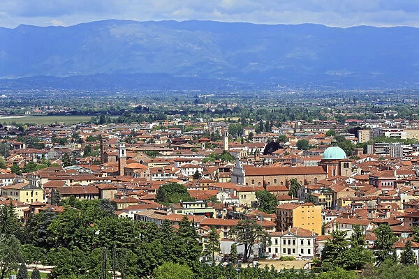 Vicenza, Veneto, Italy