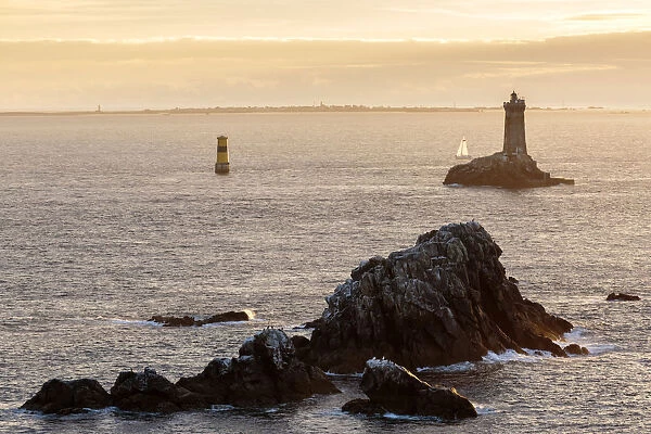 Vieille lighthouse from Raz point at sunset. Plogoff, Finistere, Brittany, France