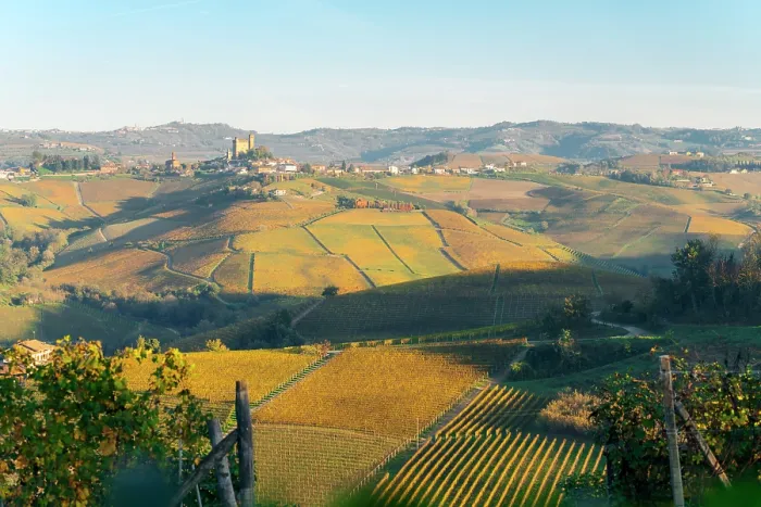 Framed Print : Vienyards and Langhe hills with Grinzane Cavour castle in the distance. Piedmont, Italy Framed Print : Vienyards and Langhe hills with Grinzane Cavour castle in the distance. Piedmont, Italy