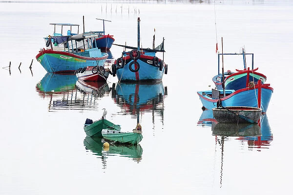 Vietnam, Cam Ranh, an egret sits among fishing boats reflected in calm water