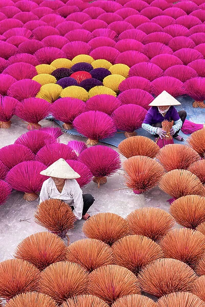 Vietnam, Hanoi, Quang Phu Cau village, women lay out multi-coloured Incense sticks