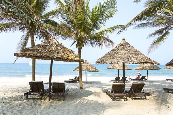Vietnam, Hoi An. Umbrellas and sunbeds under palm trees at Cua Dai beach