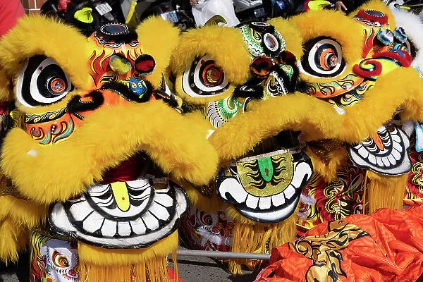 Vietnam, Mekong delta, Can Tho, yellow dragons to celebrate the Tet festival