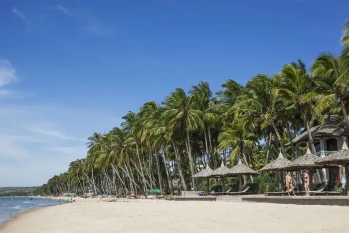 Framed Print : Vietnam, Mui Ne, Mui Ne Beach, Palm Trees Framed Print : Vietnam, Mui Ne, Mui Ne Beach, Palm Trees