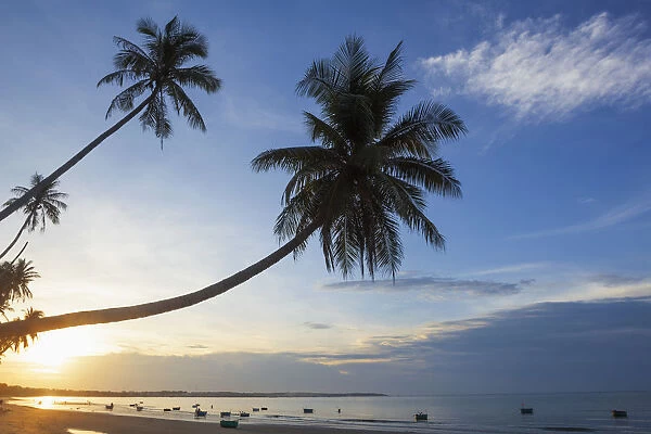 Vietnam, Mui Ne, Mui Ne Beach, Palm Trees at Sunrise